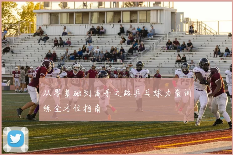 从零基础到高手之路乒乓球力量训练全方位指南