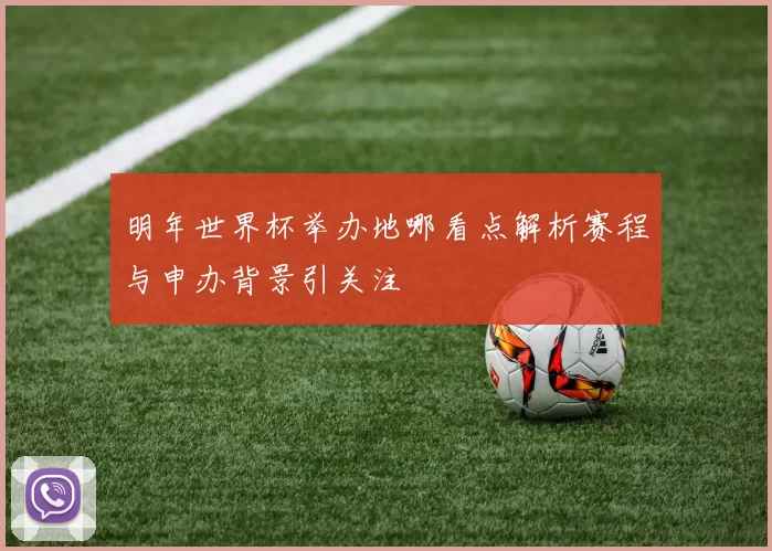 明年世界杯举办地哪看点解析赛程与申办背景引关注