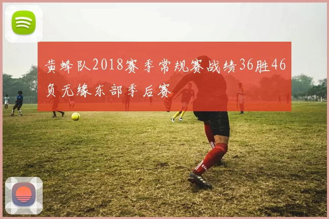 黄蜂队2018赛季常规赛战绩36胜46负无缘东部季后赛