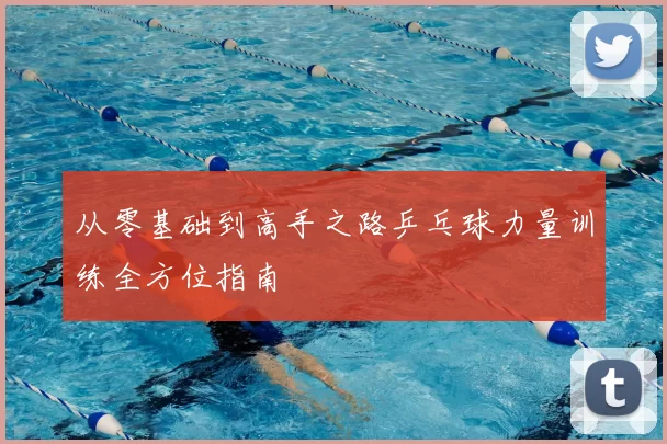 从零基础到高手之路乒乓球力量训练全方位指南