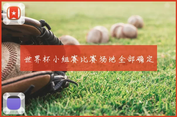 世界杯小组赛比赛场地全部确定