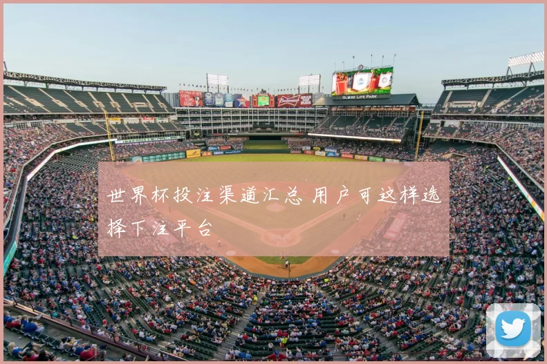 世界杯投注渠道汇总 用户可这样选择下注平台