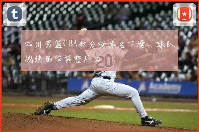 四川男篮CBA积分榜排名下滑，球队战绩面临调整压力