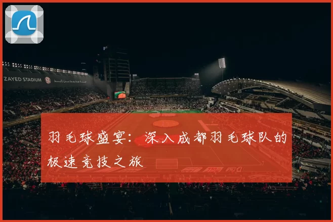 羽毛球盛宴:深入成都羽毛球队的极速竞技之旅