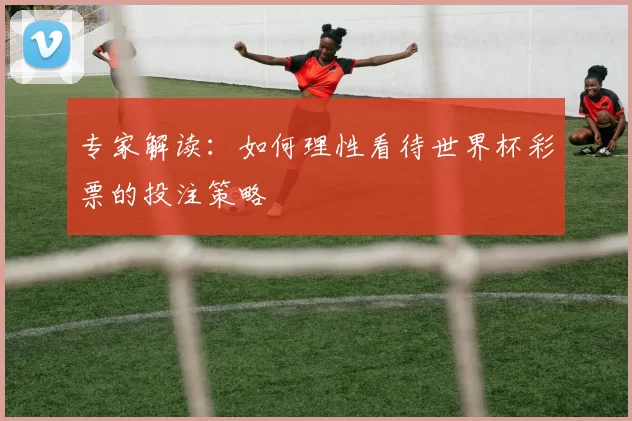 专家解读：如何理性看待世界杯彩票的投注策略