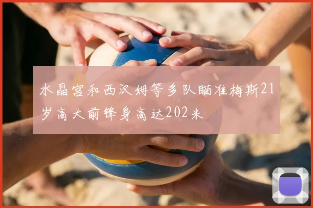 水晶宫和西汉姆等多队瞄准梅斯21岁高大前锋身高达202米