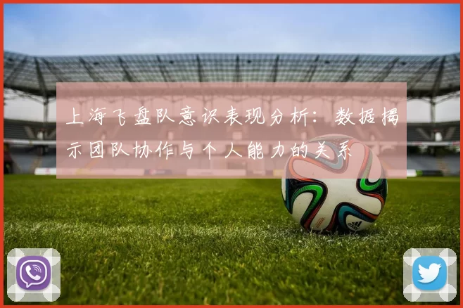 上海飞盘队意识表现分析：数据揭示团队协作与个人能力的关系