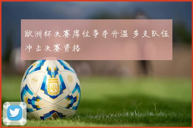 欧洲杯决赛席位争夺升温 多支队伍冲击决赛资格