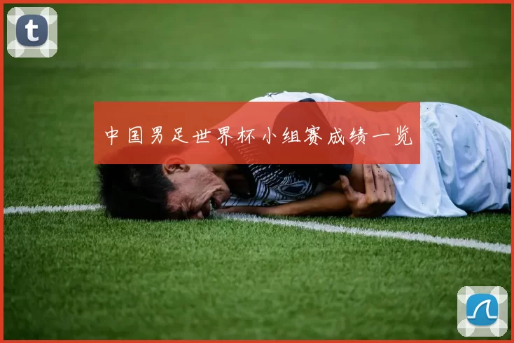 中国男足世界杯小组赛成绩一览