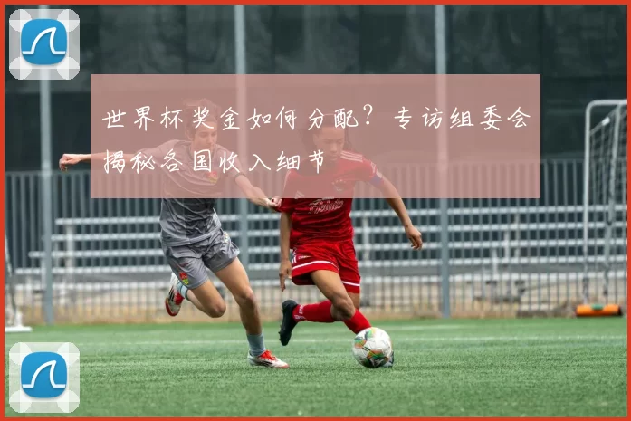 世界杯奖金如何分配？专访组委会揭秘各国收入细节